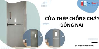 Cửa Thép Chống Cháy Đồng Nai