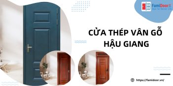 cửa thép vân gỗ Hậu Giang