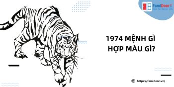 1974 Mệnh Gì Hợp Màu Gì
