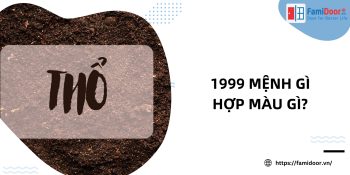 1999 mệnh gì hợp màu gì?