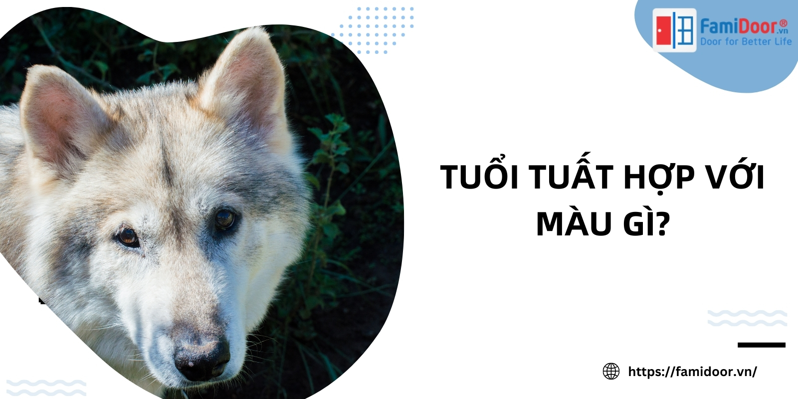 Tuổi tuất hợp với màu gì?