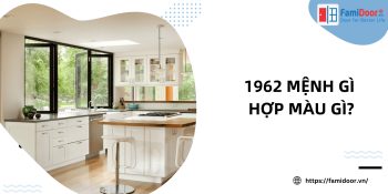 1962 mệnh gì hợp màu gì