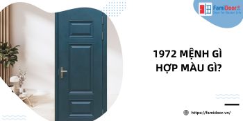 1972 mệnh gì hợp màu gì