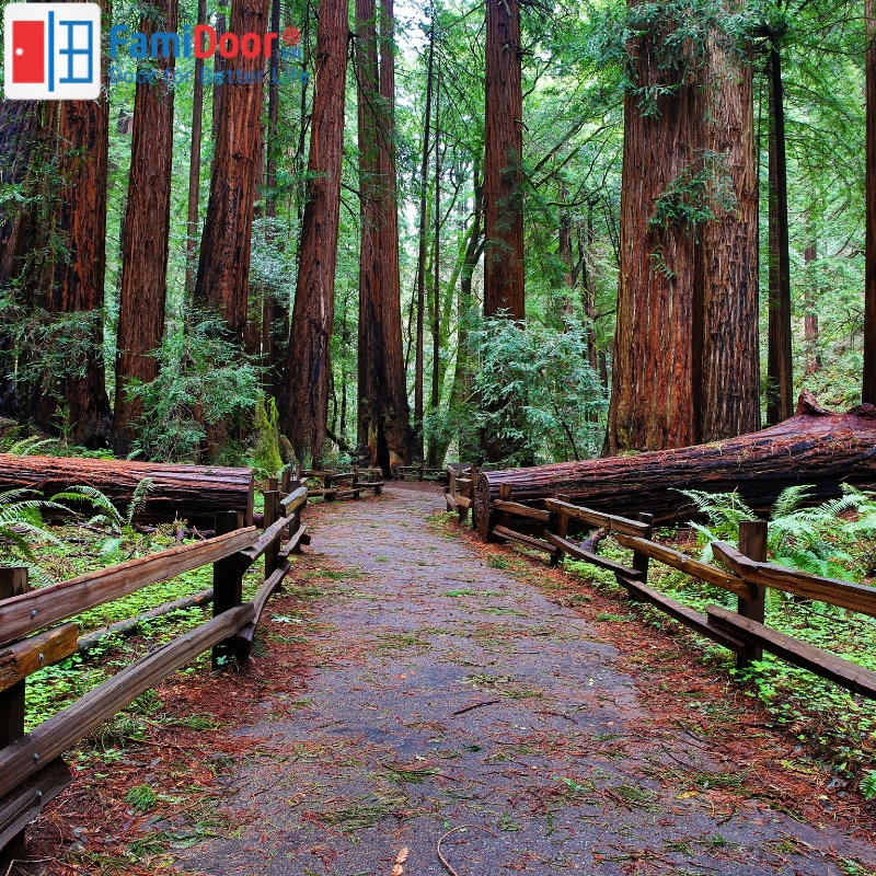 Gam màu vàng tương khắc với mệnh Mộc 